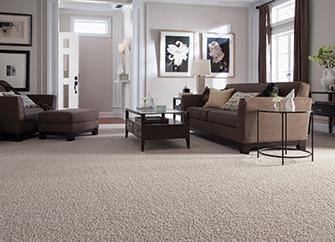 Shop our Featured Softique Carpet by Alexander Smith in the Online Product Catalog.